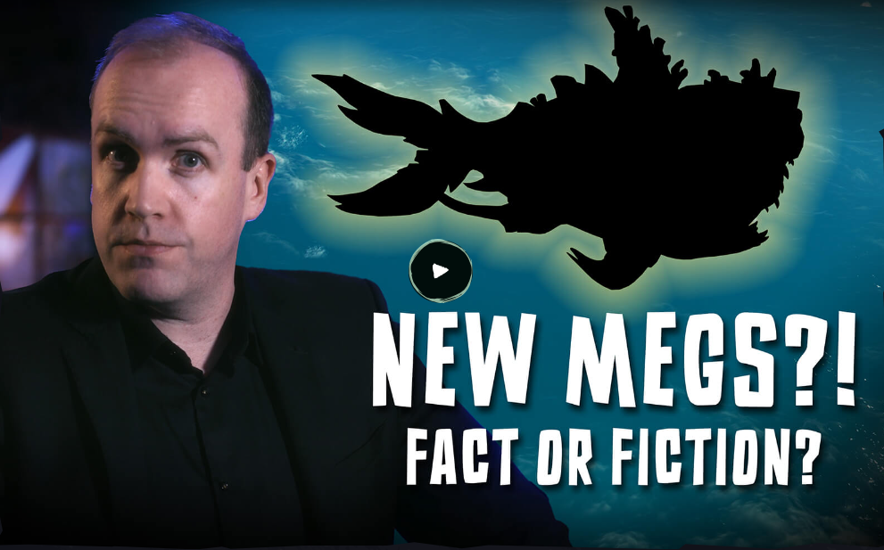 New Megs?! Fact or Fiction